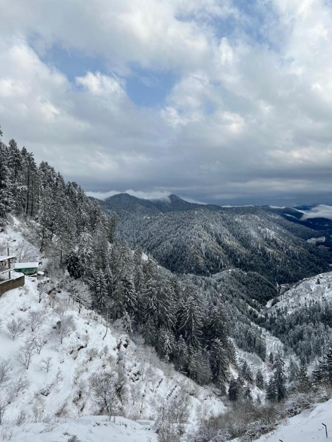 Appartamento Pahadi House Nārkanda Esterno foto